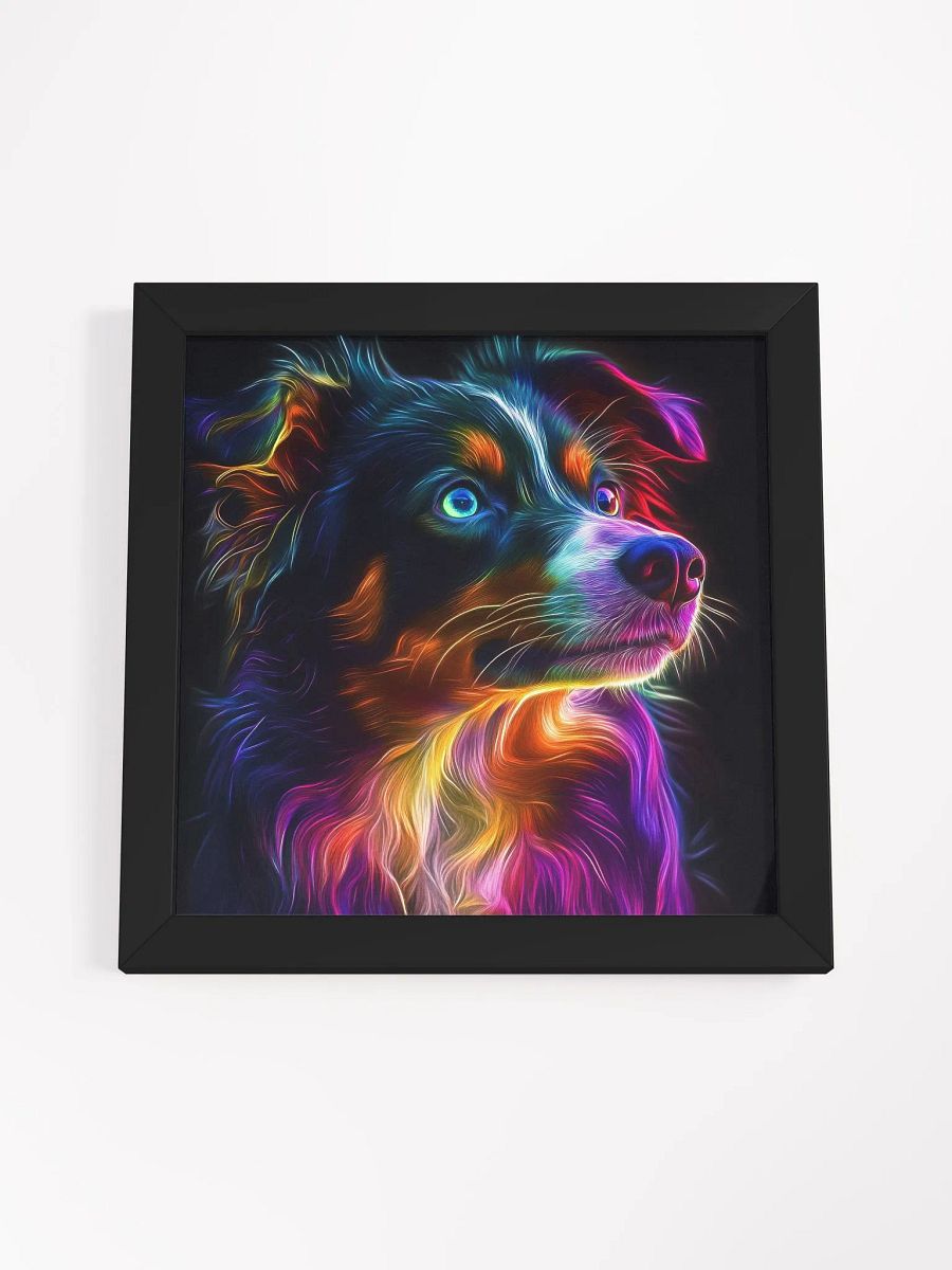 Australský ovčák, zářící product image (52)