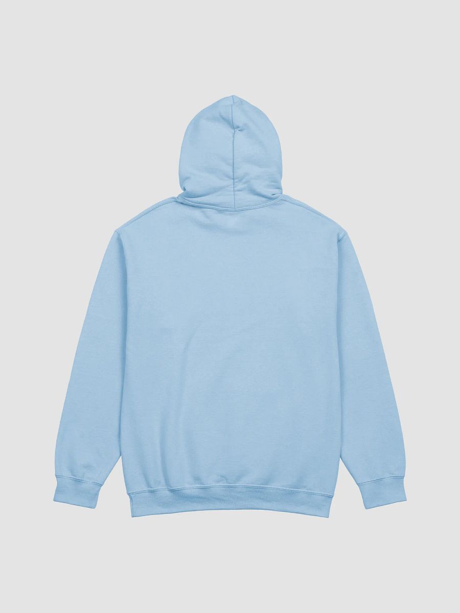 Retro Sunset Palm Hoodie product image (2)