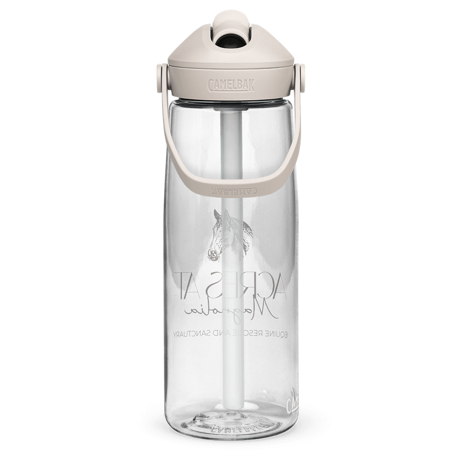 Sanctuary Water Bottle product image (4)