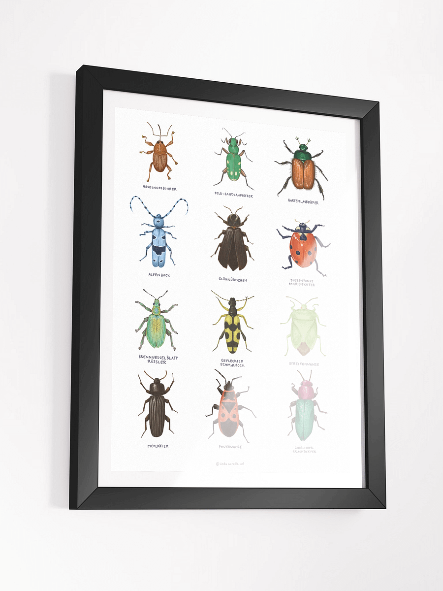 Framed Insects product image (3)