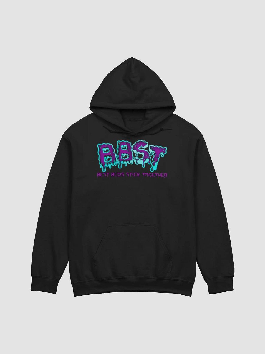 BBST Logo Hoodie product image (12)