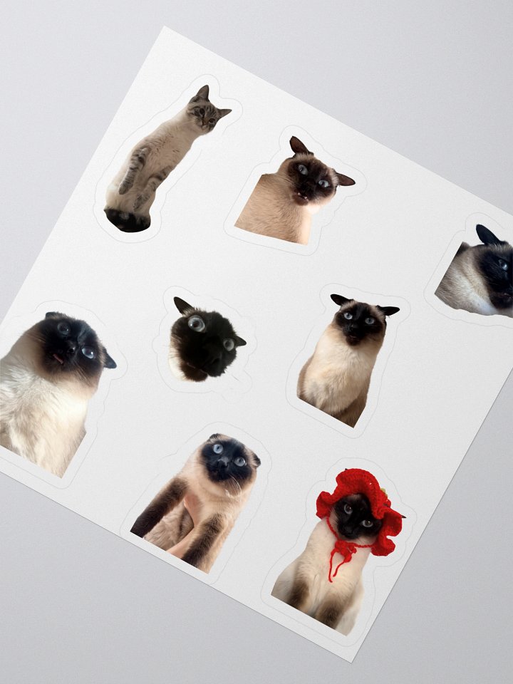 Silly Photo Kiss Cut Sticker Sheet product image (2)