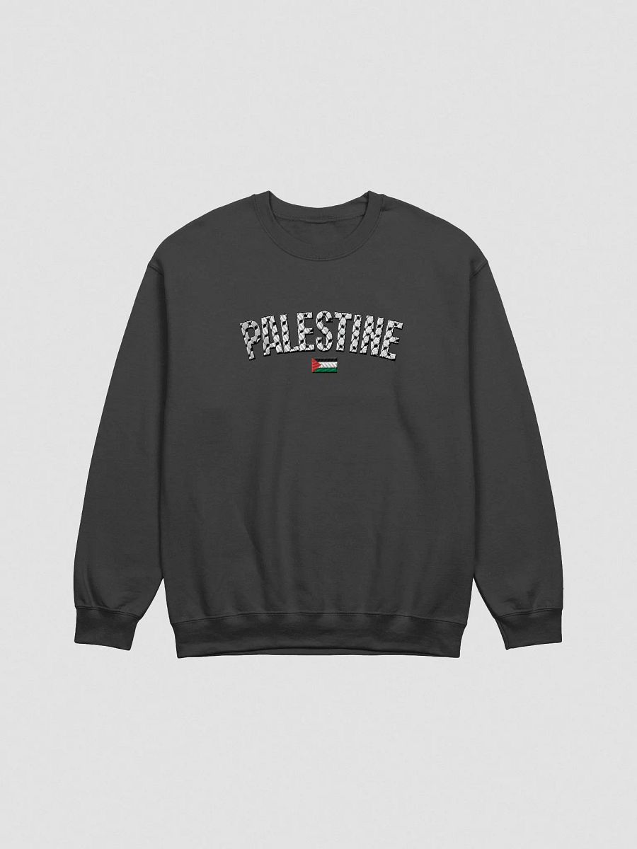 Palestine Sweater- Embroidered product image (1)