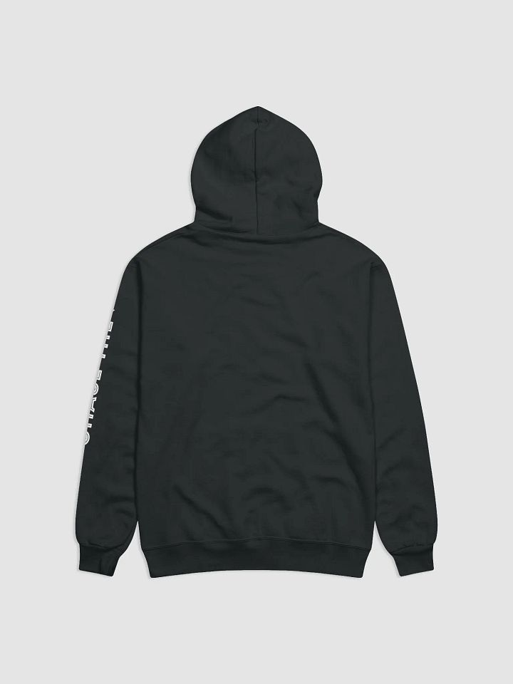 CTC Circle Hoodie product image (2)