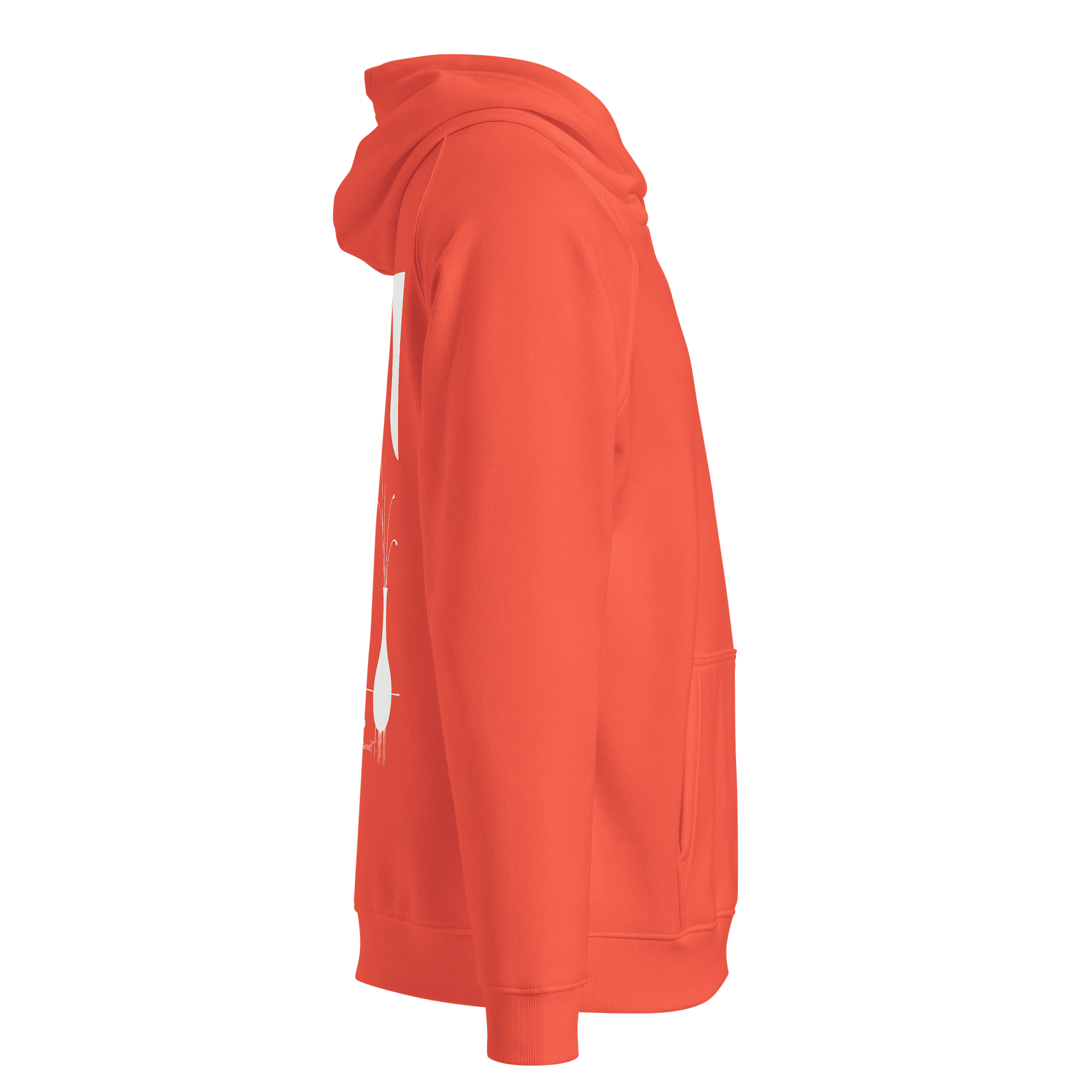 SOL'S Unisex Eco Raglan Hoodie product image (4)