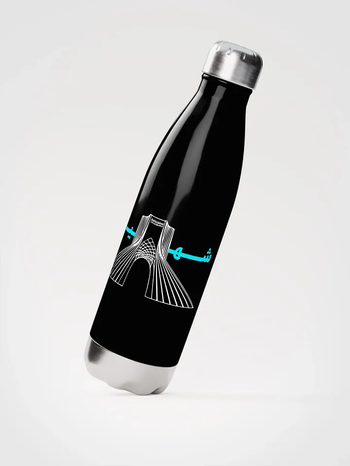 Stainless Steel Bottle with Shahyad Art - بطری استیل با طرح شهیاد product image (2)