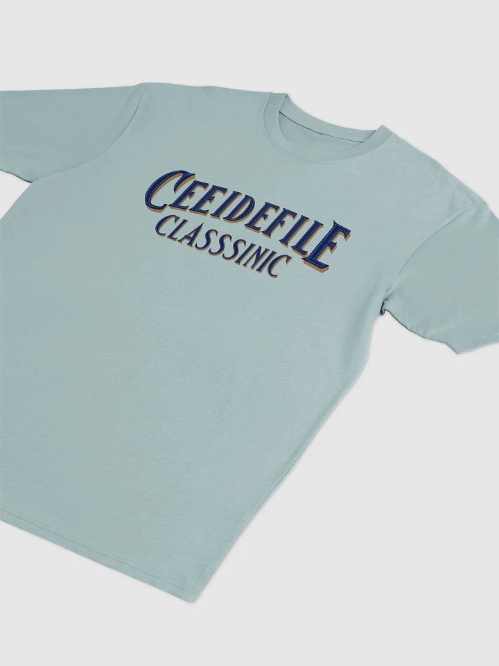 Celebrity Classic Men's Premium Tee product image (2)