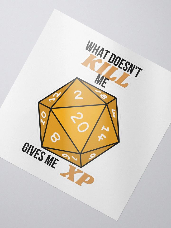 What Doesn't Kill Me D20 product image (2)