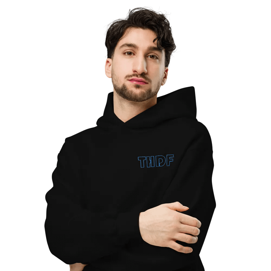 THDF Cyan Hoodie Embroidered product image (6)