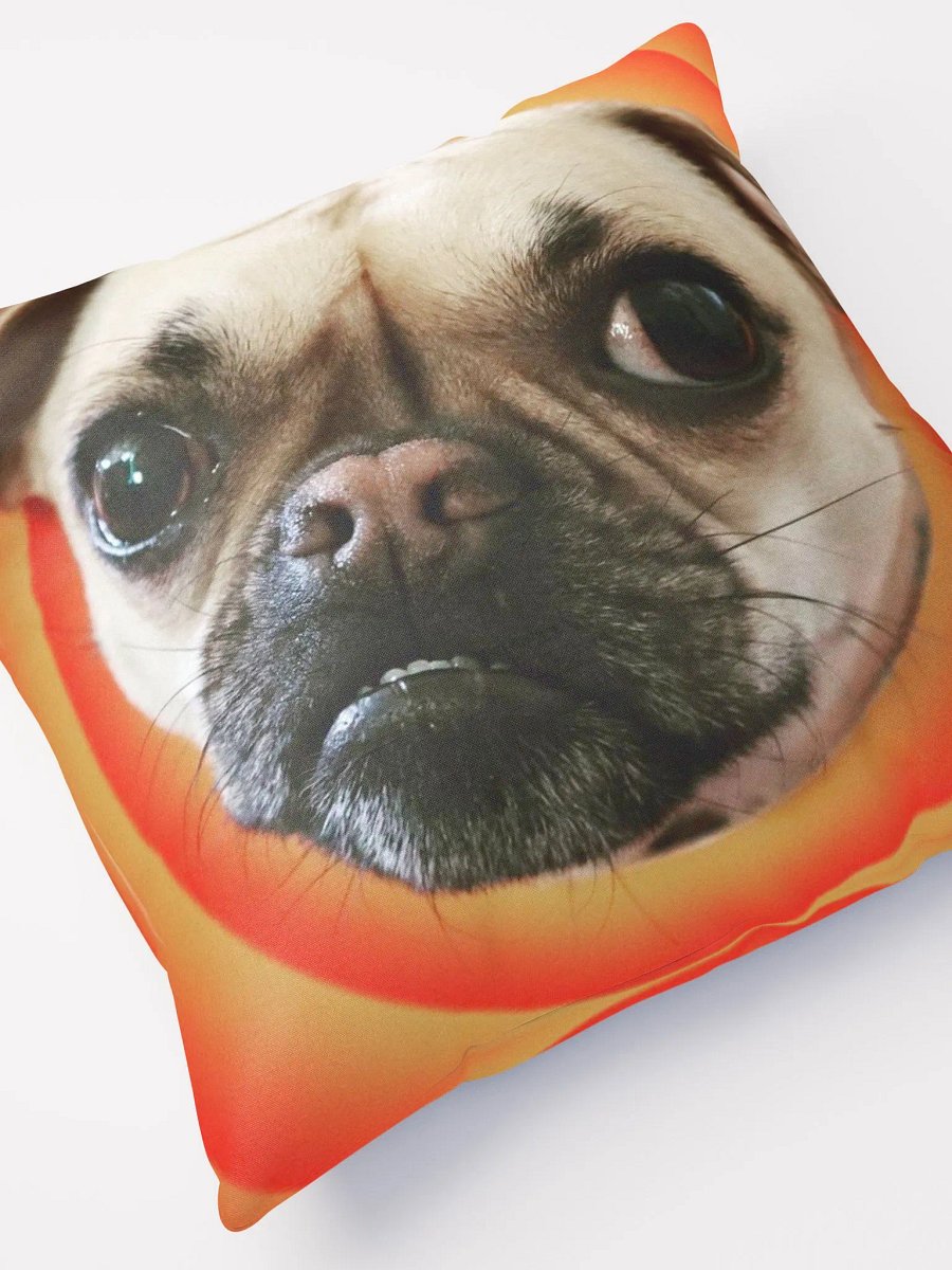 Crash Pillow product image (8)