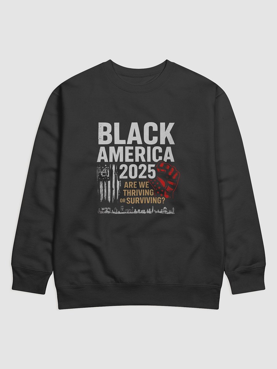 Black America 2025 Premium Sweatshirt product image (1)