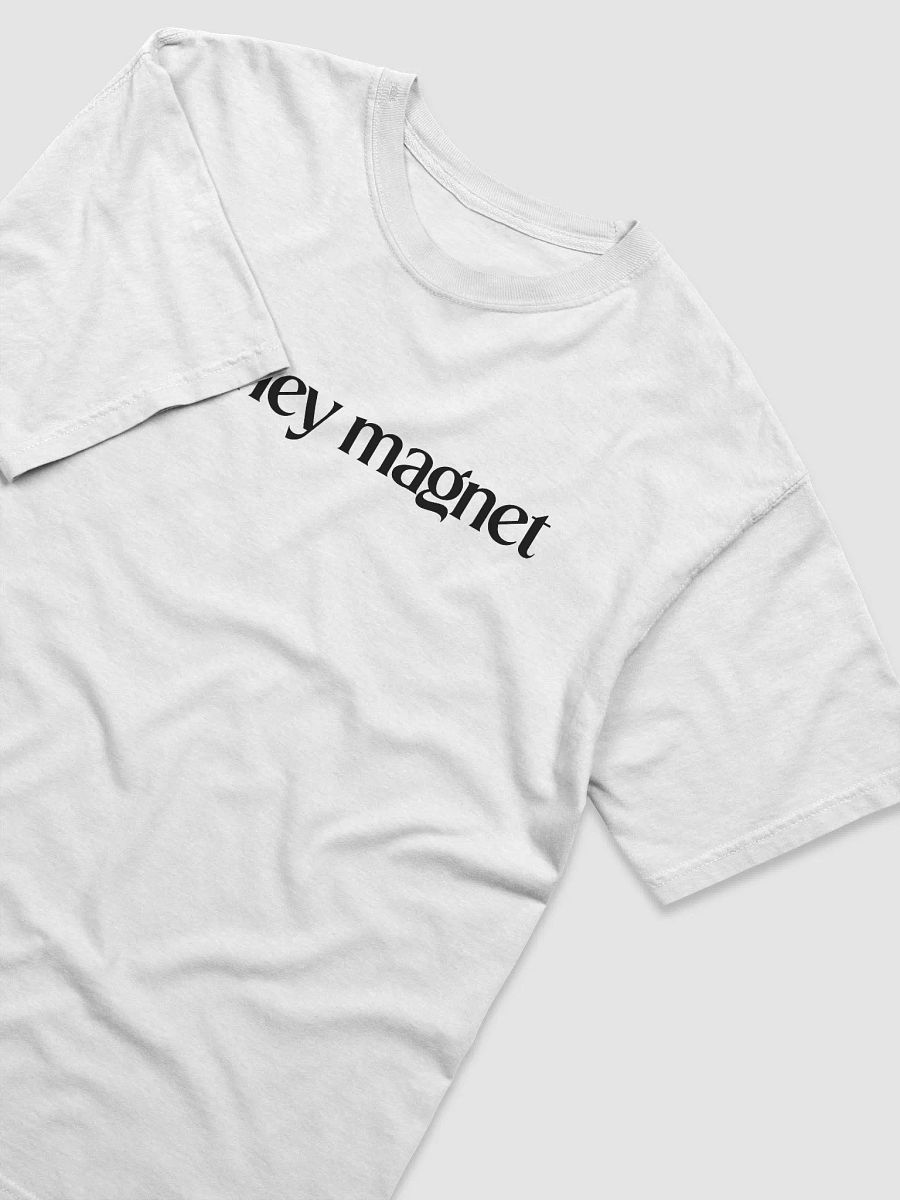 Money Magnet Tee product image (14)