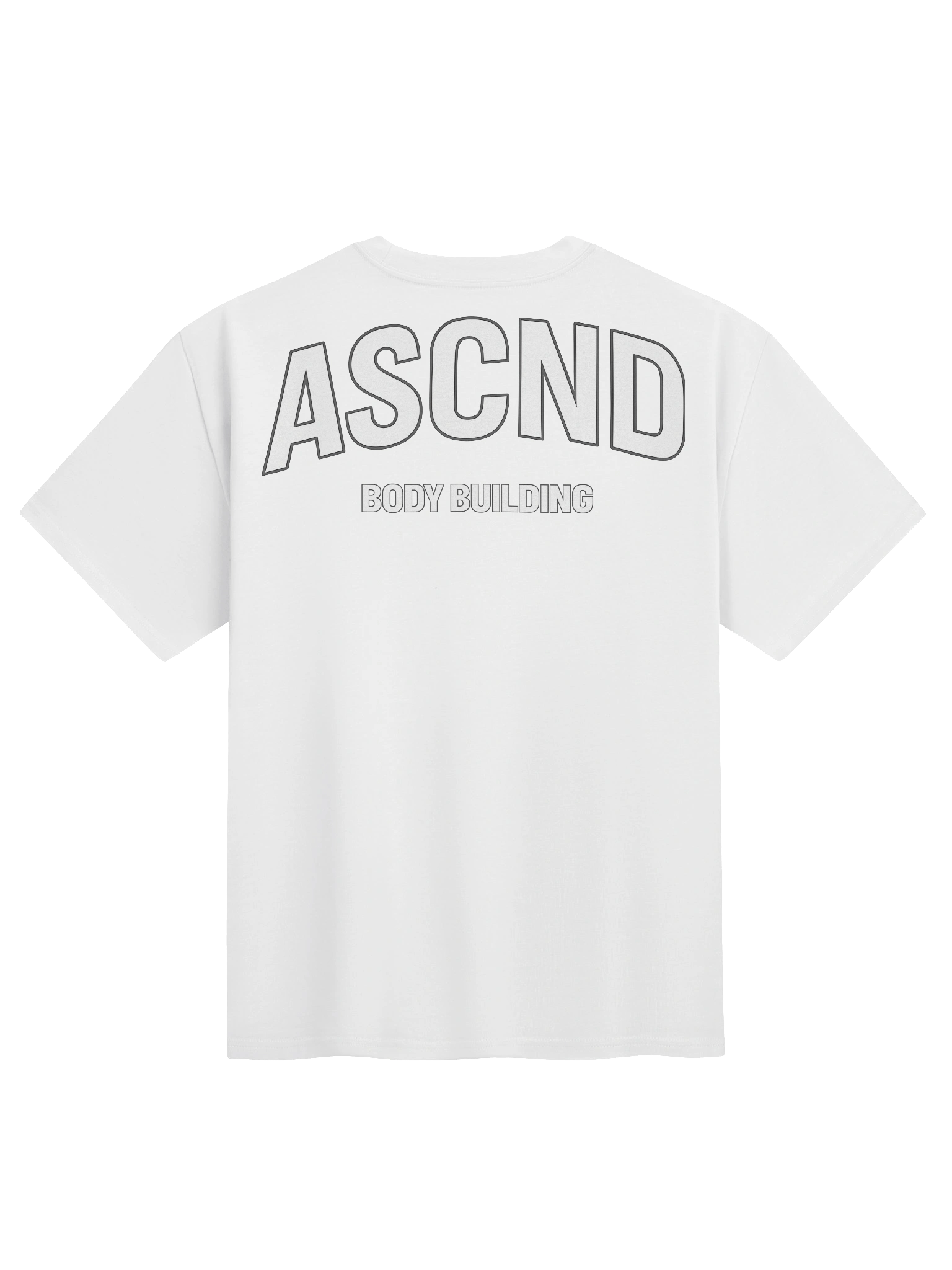 Ascend Bodybuilding Heavyweight Tee product image (6)