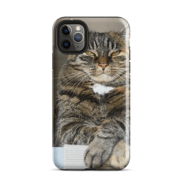 Proud Cat Phone Case for Animal Lovers product image (34)