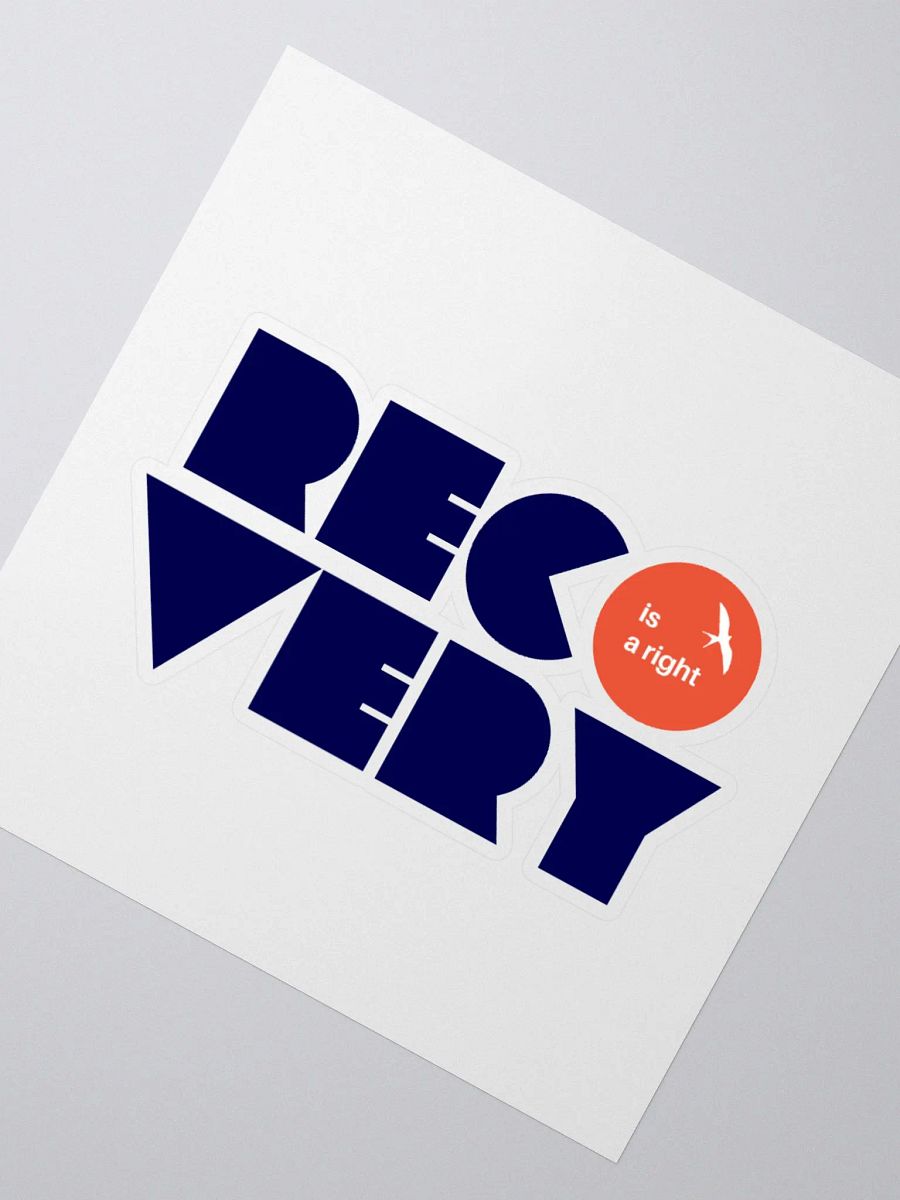 Recovery is a Right product image (4)