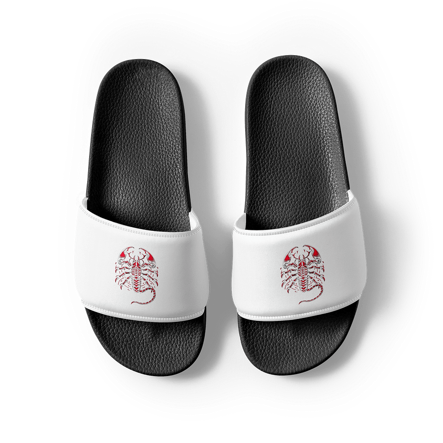 CHAZE | Latschen product image (4)