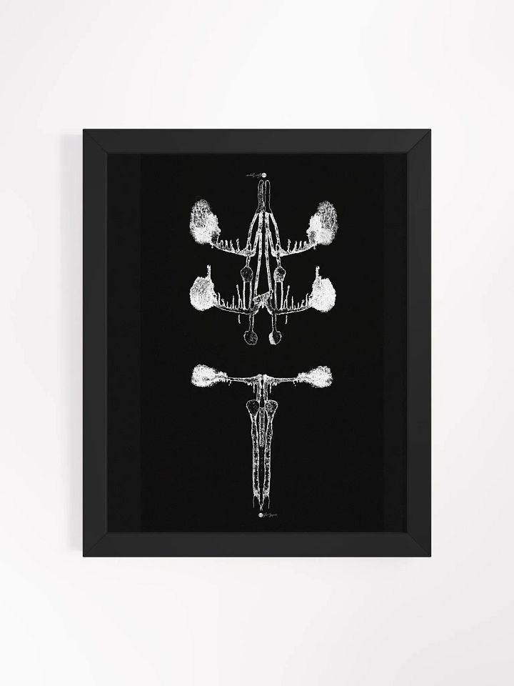 Inkblot no.4 | Framed Print | 11 x 16 product image (1)