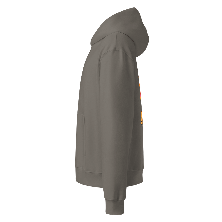 Pawsitive Stylish | Unisex Oversized Hoodie by Bella+Canvas product image (4)