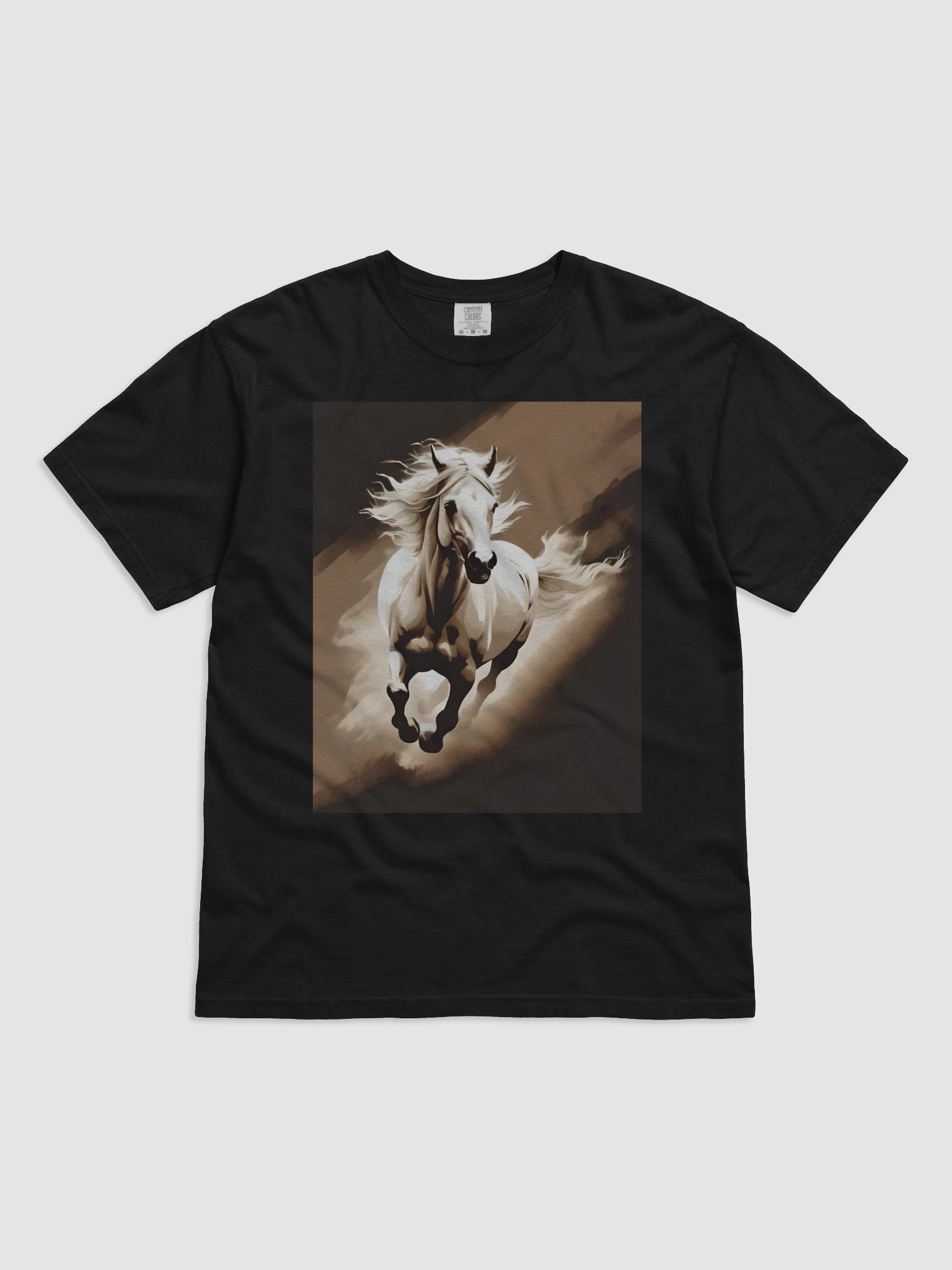 Willpower Garment-Dyed Heavyweight T-Shirt product image (2)