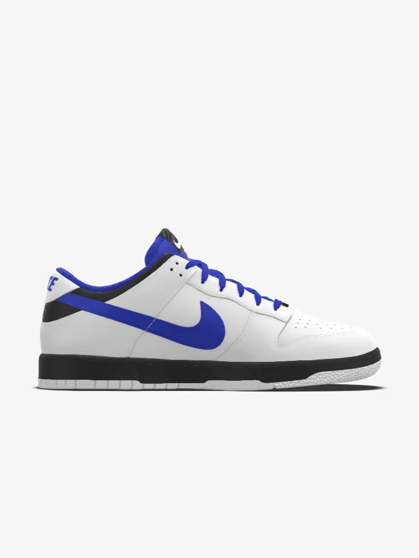 Alluci x Nike Verus Fair Launch Low Retro Dunk product image (4)
