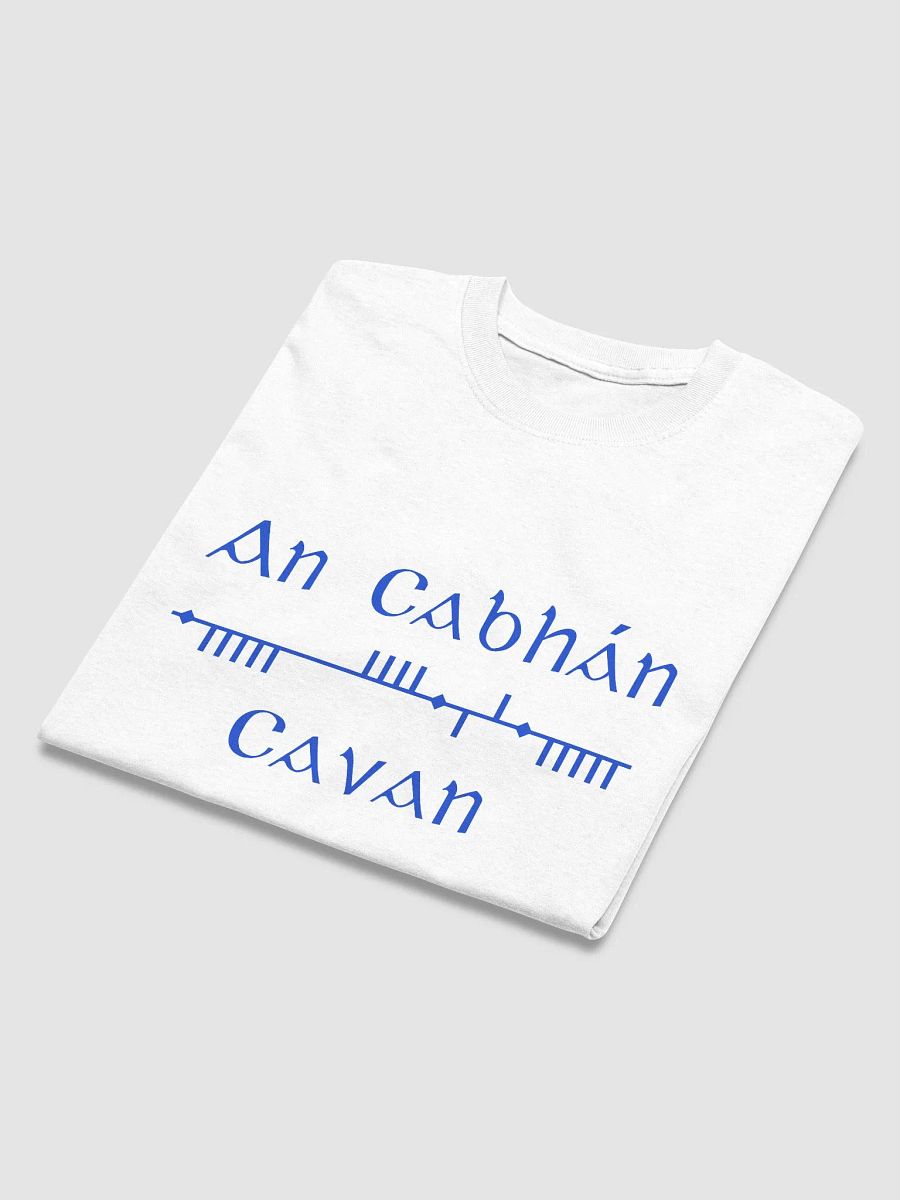 Cavan/An Cabhán white Scholastic Style Ogham printed T-shirt product image (4)