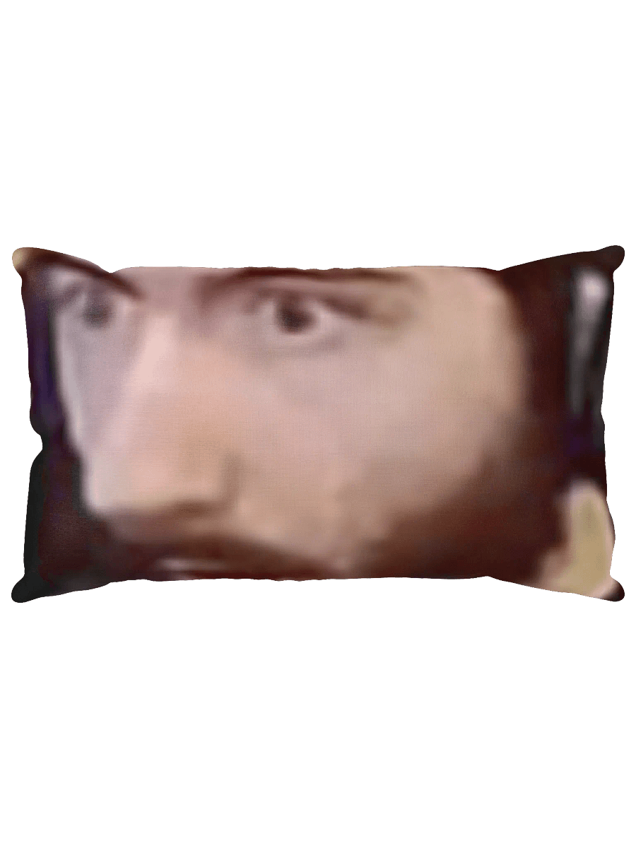 BRAN POG Cursed Pillow product image (5)