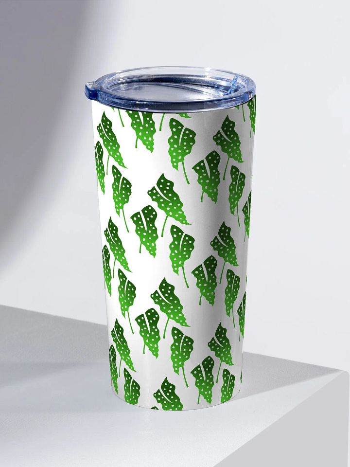 Polka Doted Begonia product image (2)