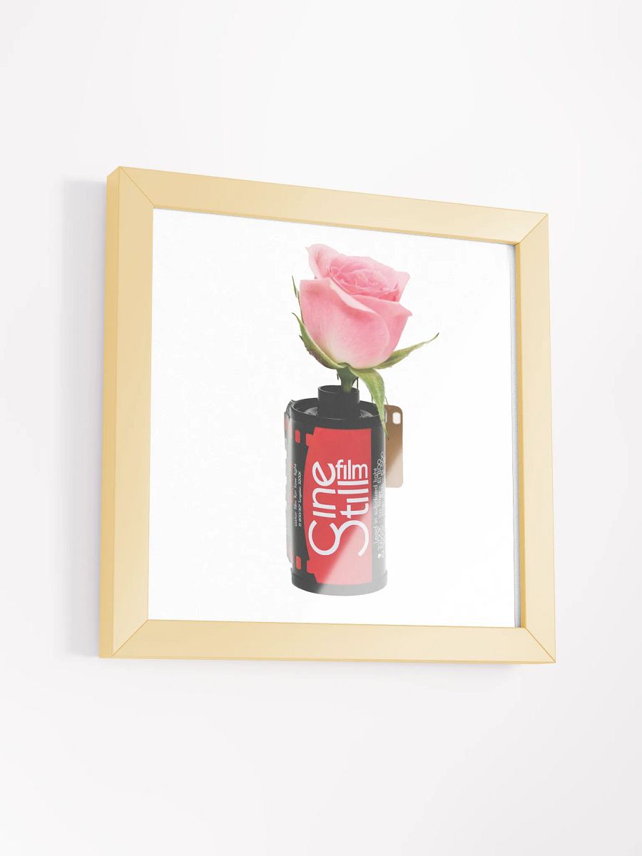Cinestill Rose Framed Poster Print product image (33)