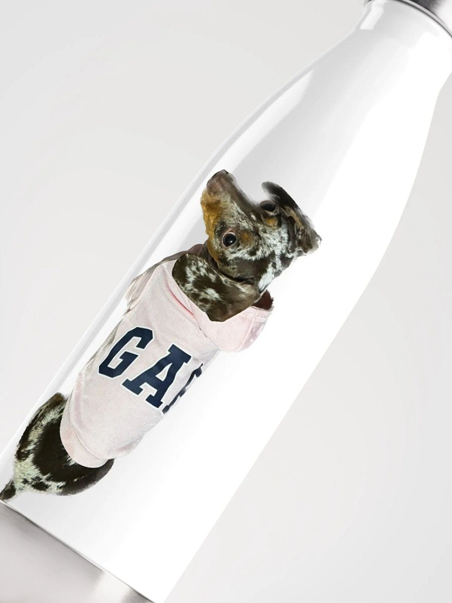 LuLu Sports bottle product image (5)