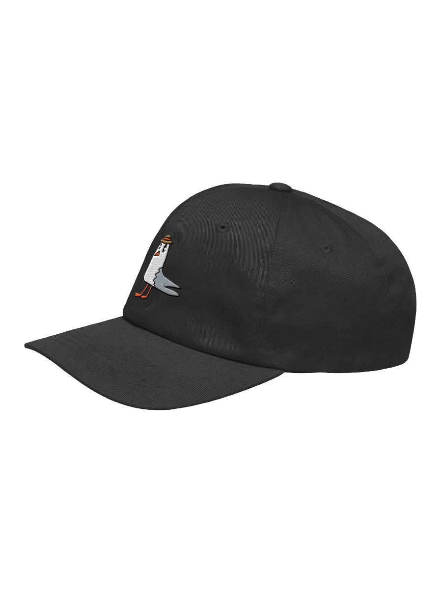 Embroidered Lil Gull Hat product image (3)