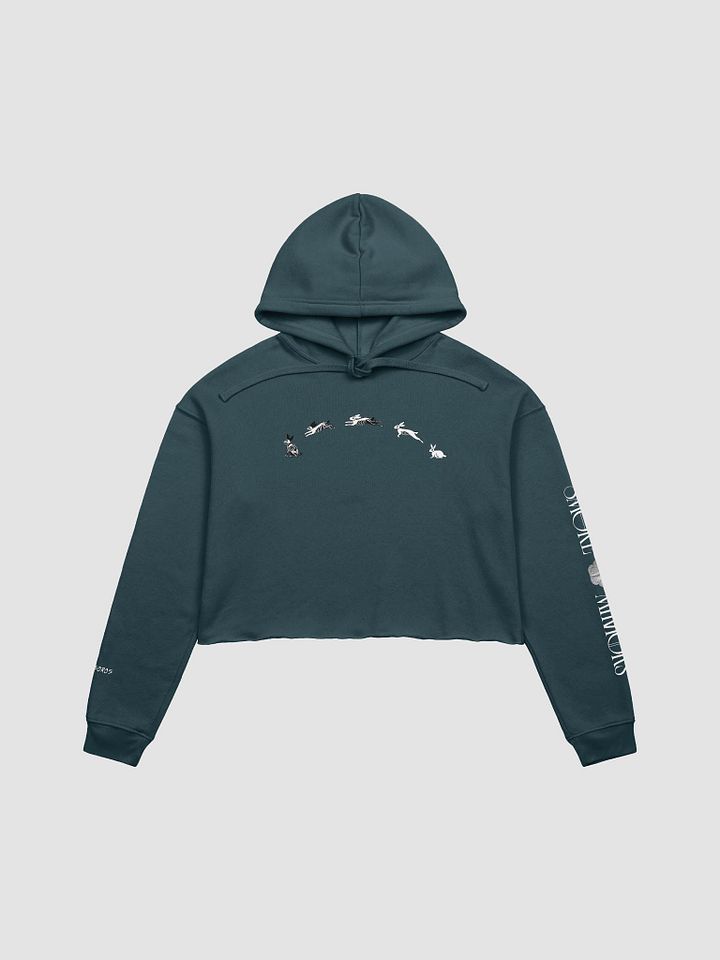 White Rabbit's Curse Crop Hoodie product image (4)