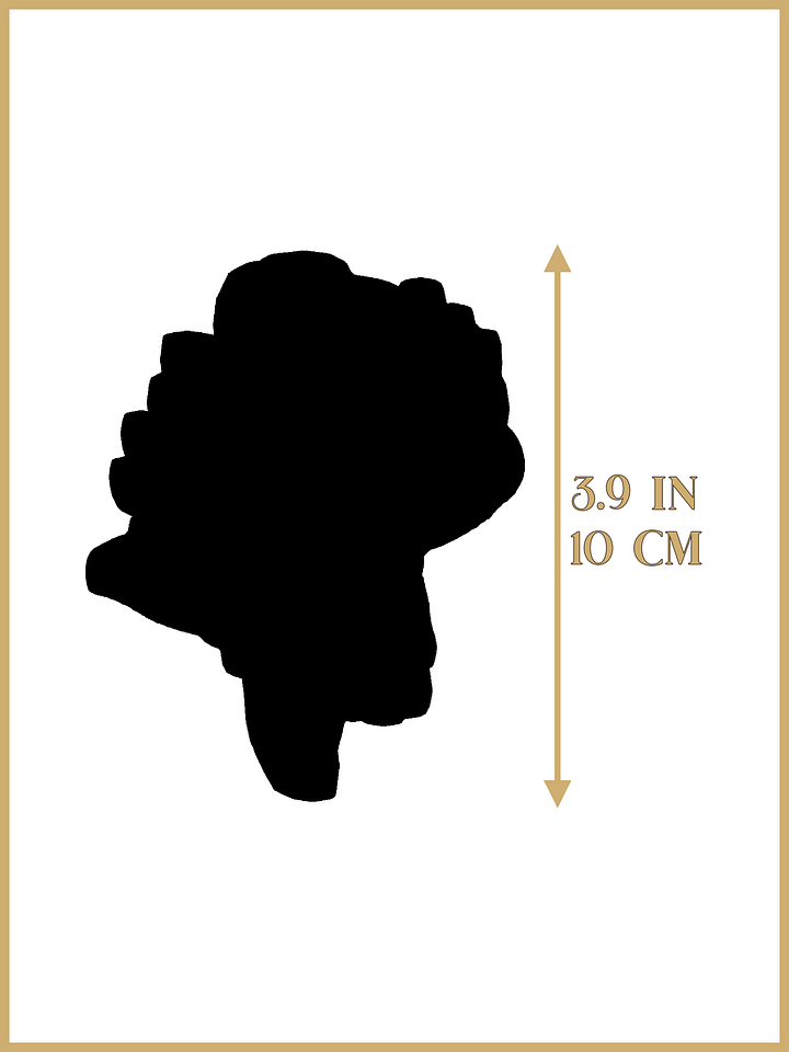 ʚ♡ɞ Ballerina Spinning Standee - PREORDER ʚ♡ɞ product image (2)
