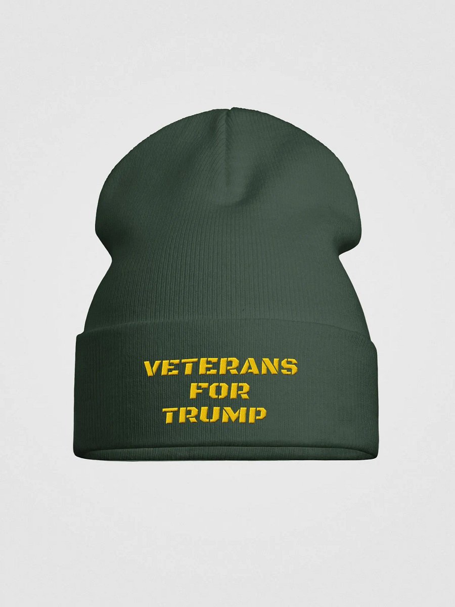 Veterans For Trump Beanie product image (10)