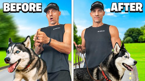 Imagine a dog you can trust anywhere - that’s what I deliver.

Most dog owners have never experienced what their dog is truly...