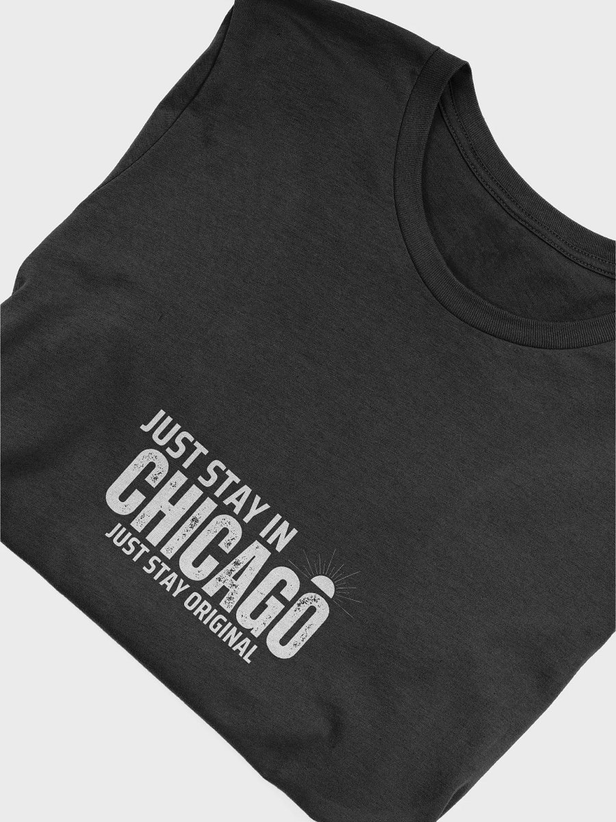 Just Stay in Chicago T-Shirt product image (16)