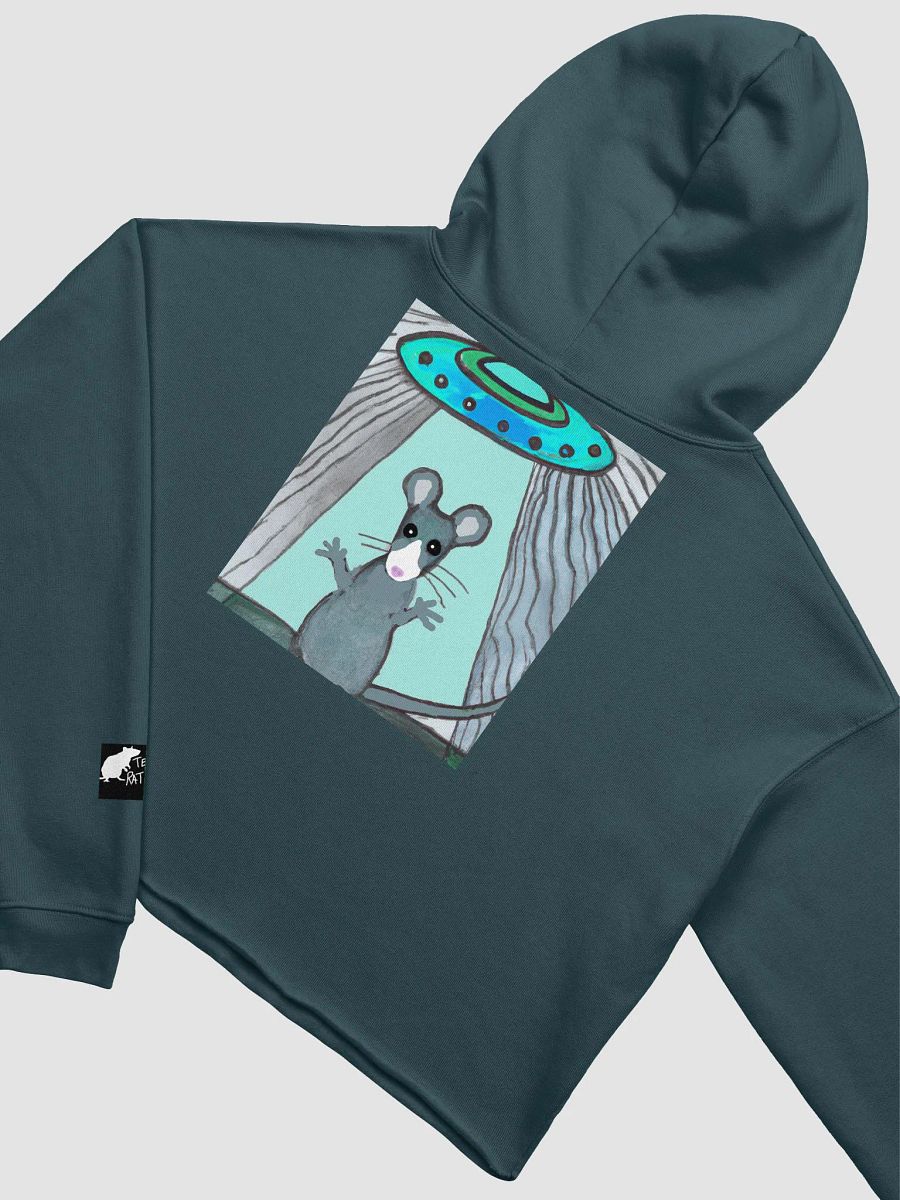 blue rat and UFO cropped hoody (branded) product image (19)