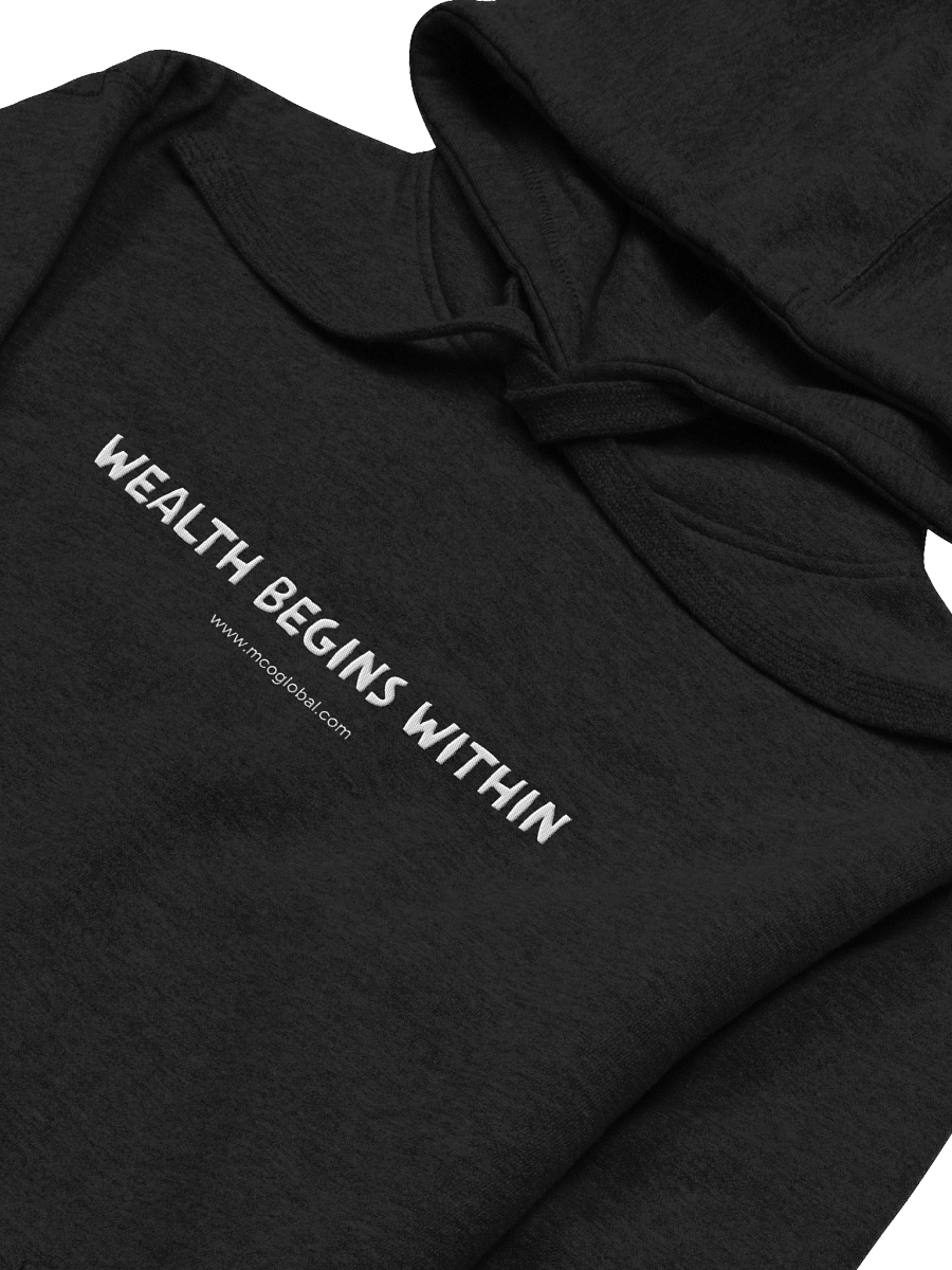 Hoodie Wealth Begins Within product image (2)