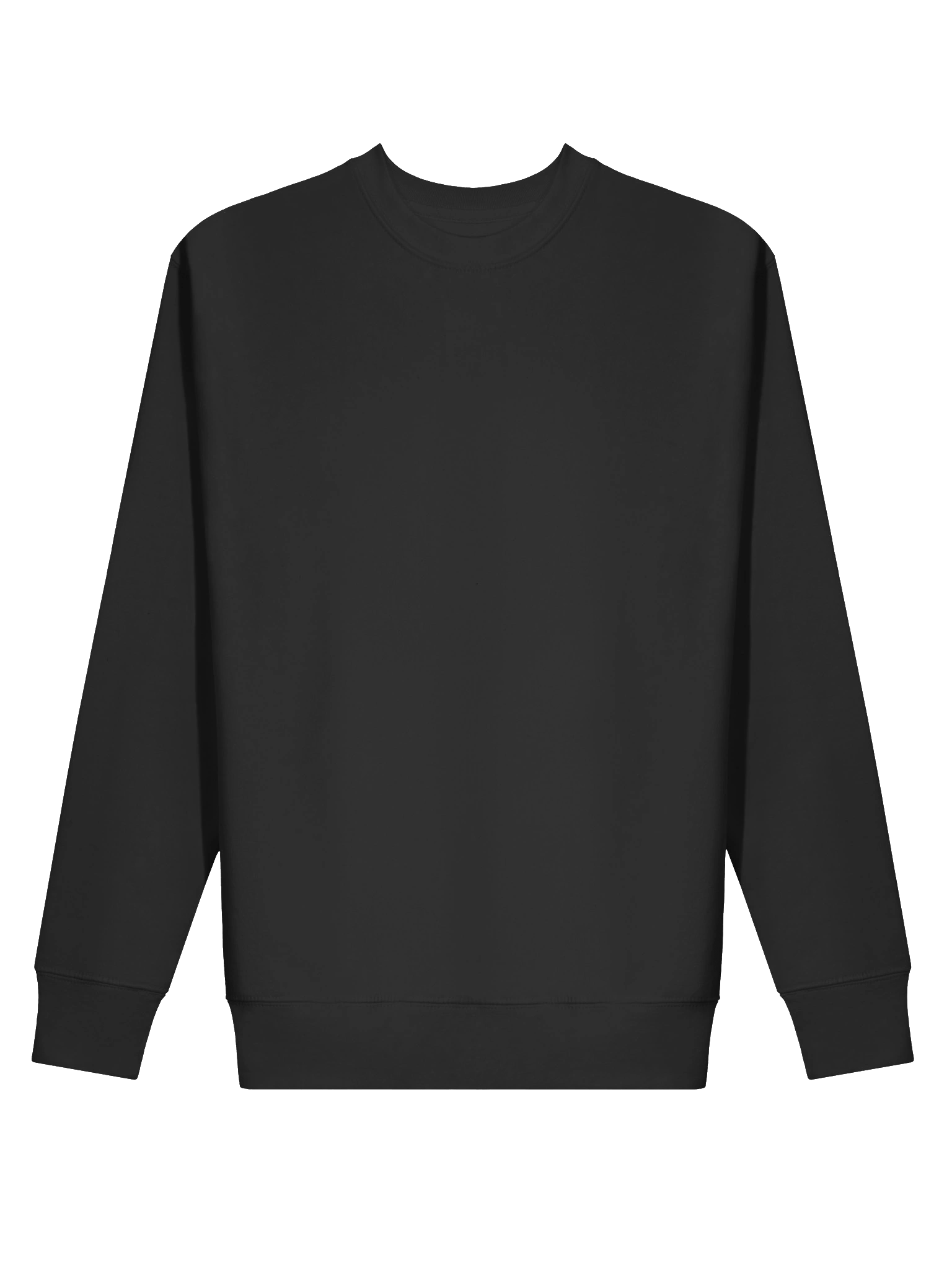 The Corporation Standard-Issue Sweatshirt product image (2)