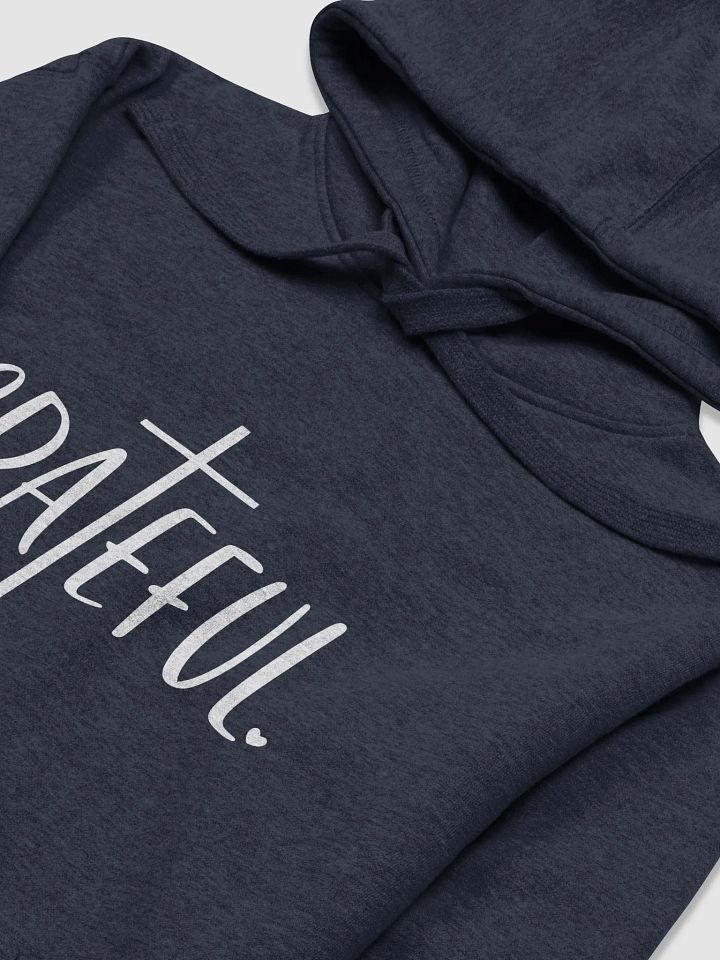 Grateful Cozy Warm Heavyweight Unisex Hoodie product image (2)