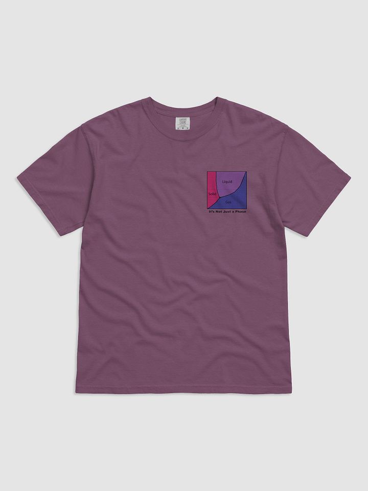 It's Not Just a Phase- Bi T Shirt product image (6)