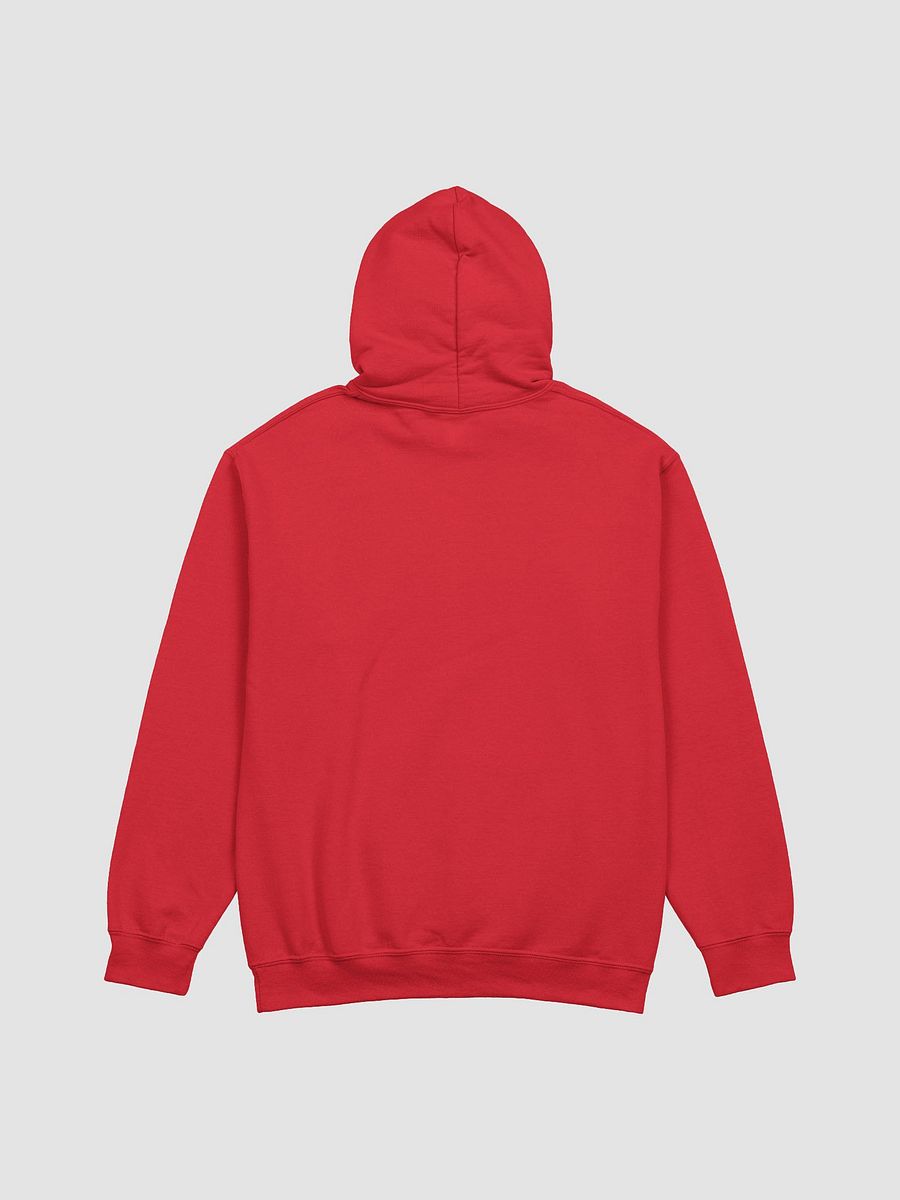 🦙 “Go Llama or Go Home” Hoodie product image (2)