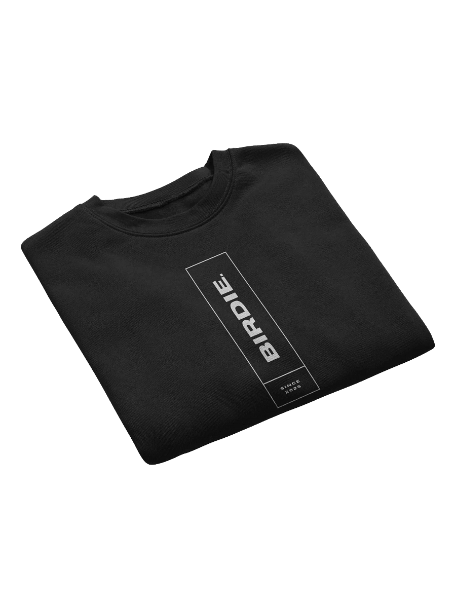 BIRDIE Since 2025 Logo Sweatshirt product image (19)