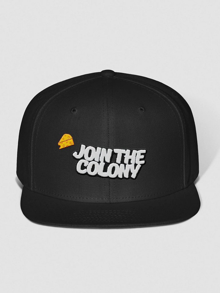 Join The Colony Snapback product image (8)