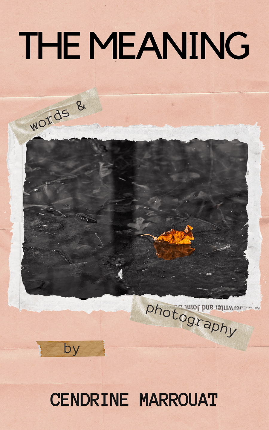 The Meaning product image (1)