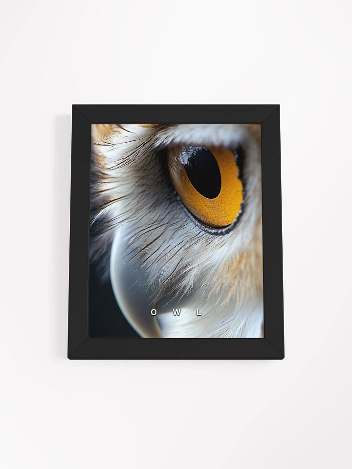 Owl's Eye Matte Poster product image (7)