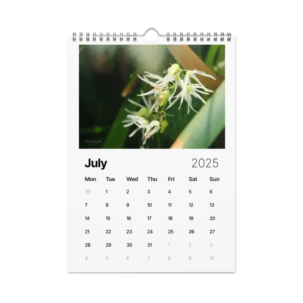 Pure Colors 2025 Wall Calendar product image (8)