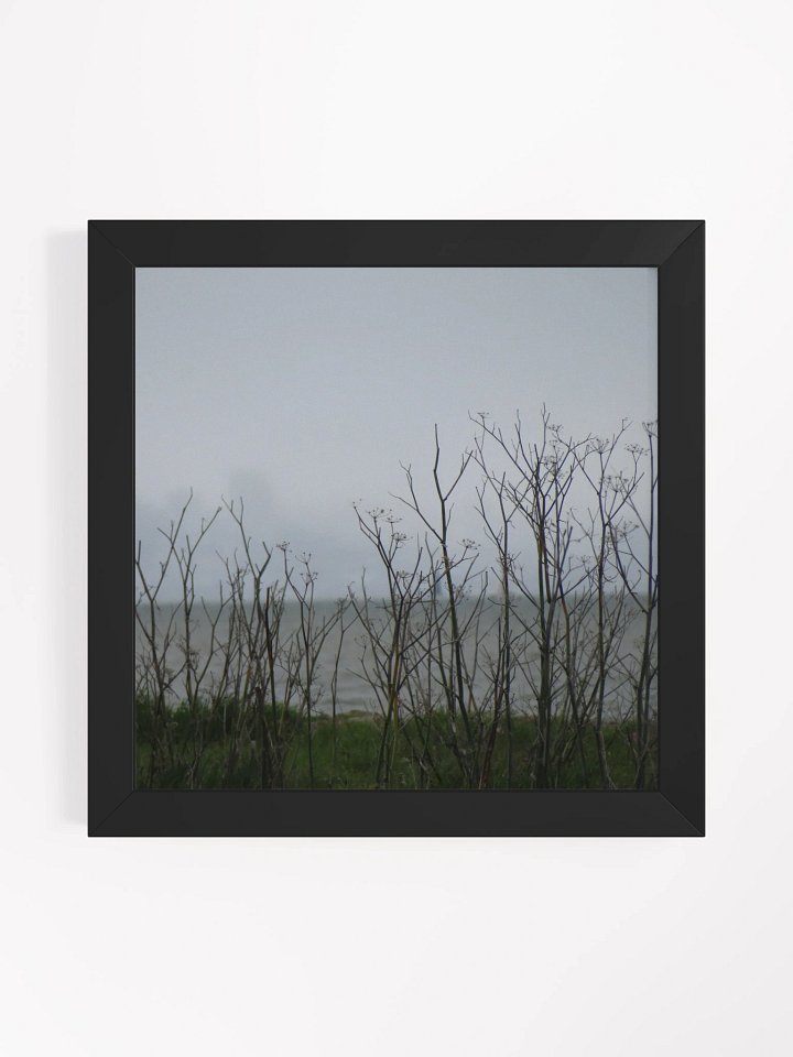 Fog Fennel product image (4)