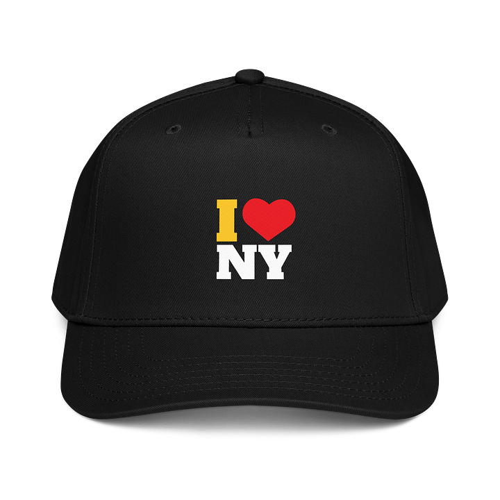 I heart NY Retro Snapback Hat product image (1)