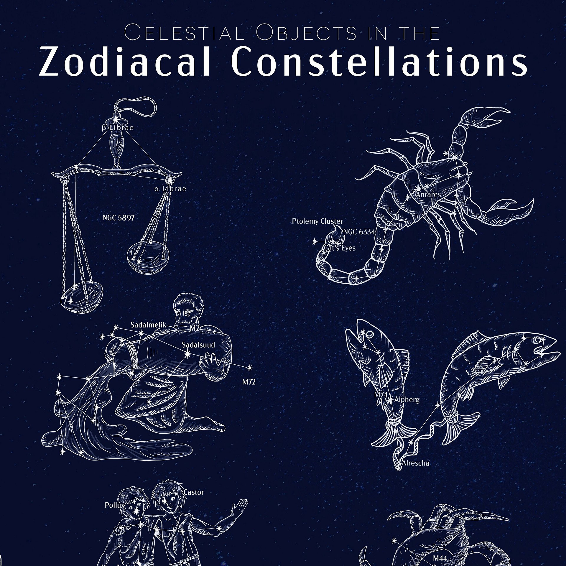 Zodiac Constellation Art & Infographics Poster product image (3)