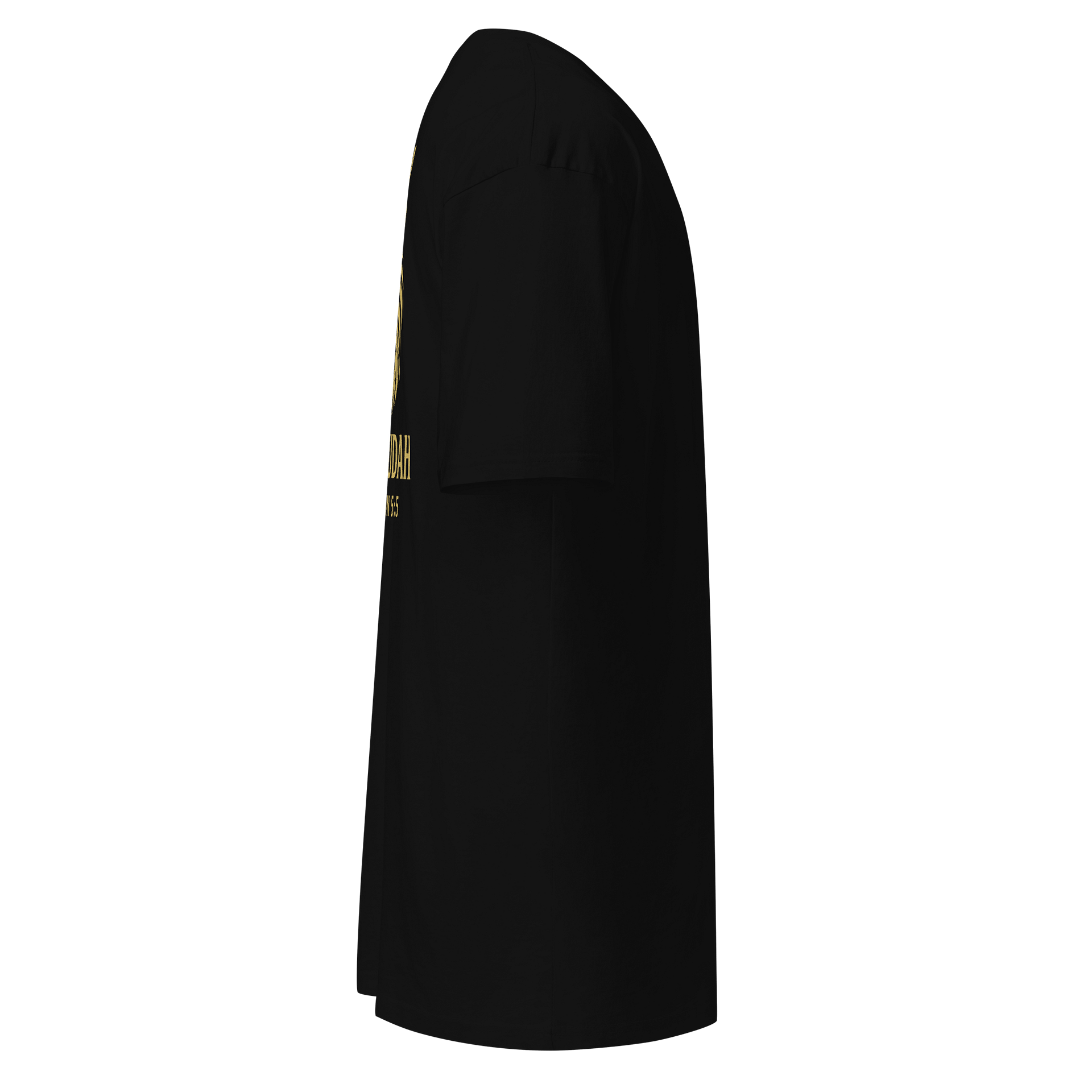 Lion of Judah Men's Premium Heavyweight Tee product image (4)